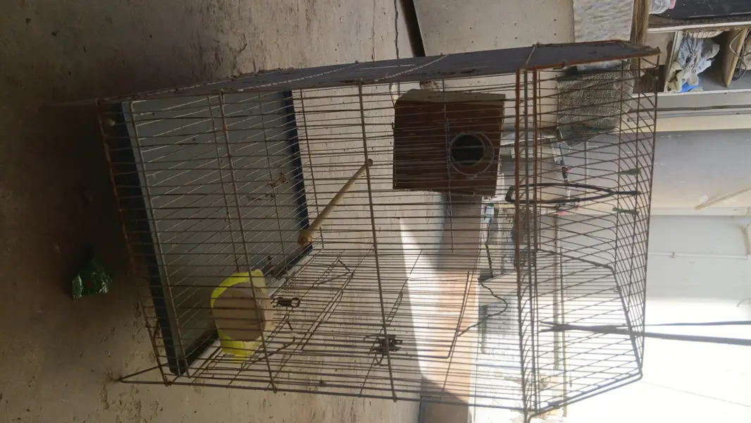 Parrot Cage With Box — photo 4