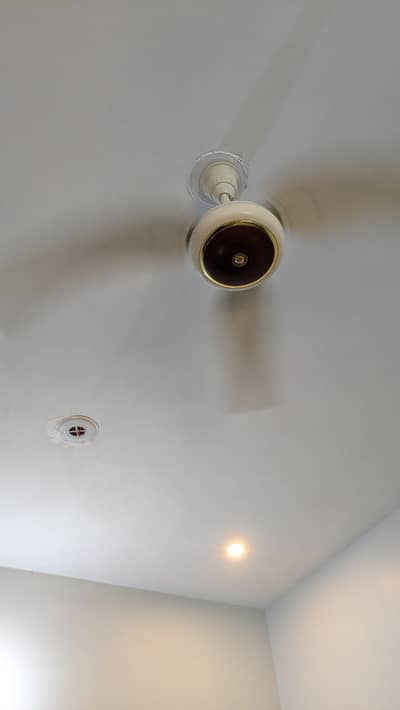 220v orient copper ceiling fans