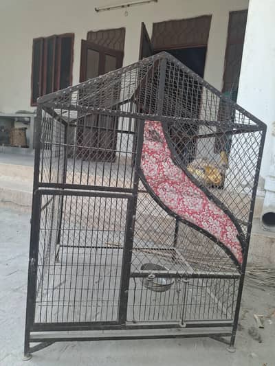 Beautiful Iron Cage for Sale Contact at 03036901549