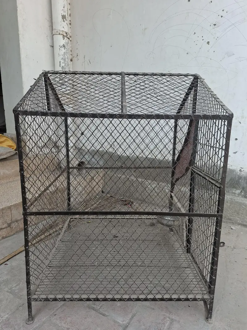 Beautiful Iron Cage for Sale Contact at 03036901549 — photo 2