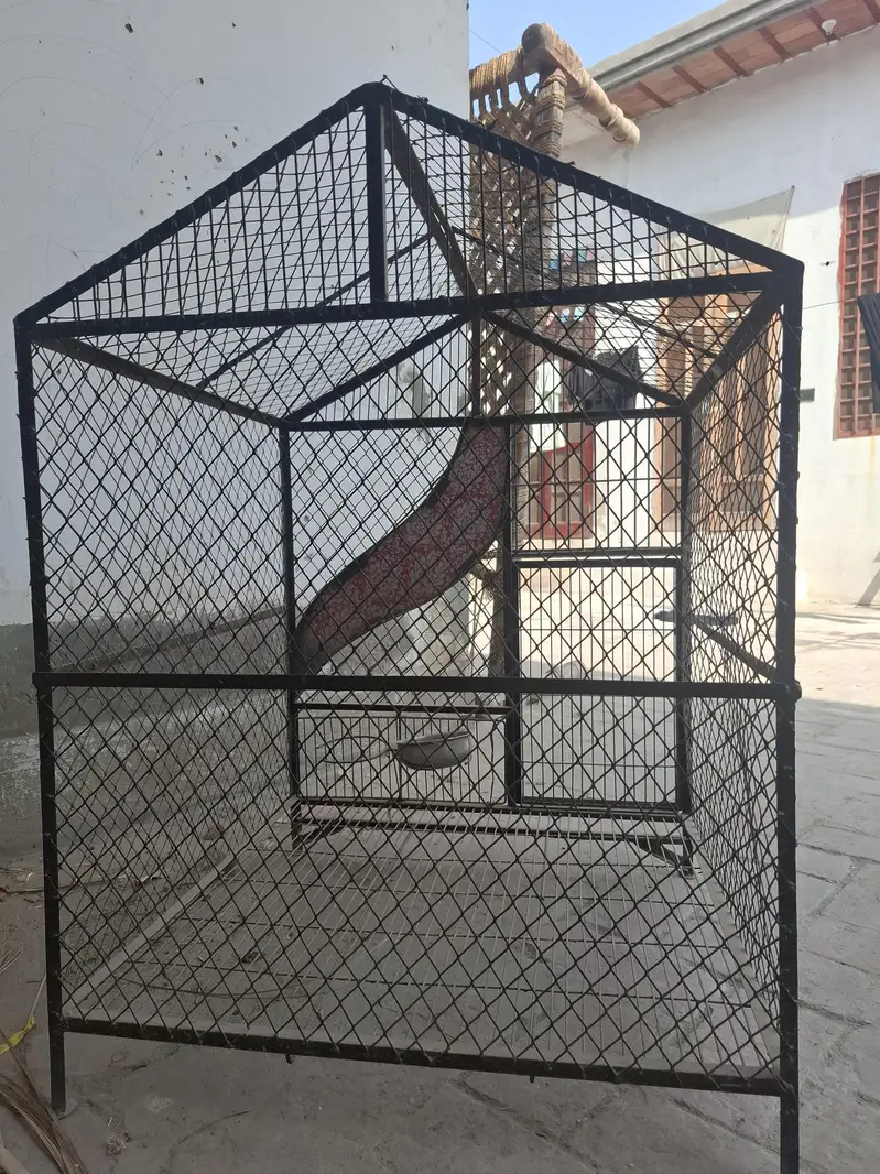 Beautiful Iron Cage for Sale Contact at 03036901549 — photo 3