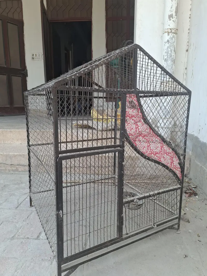Beautiful Iron Cage for Sale Contact at 03036901549 — photo 4