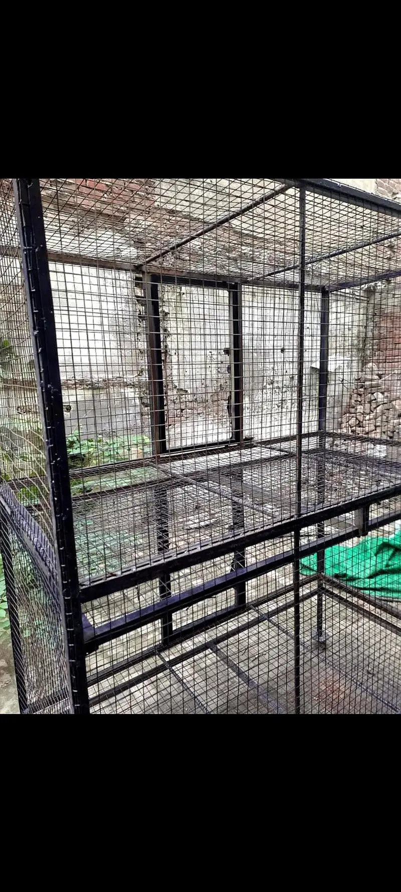 Jambo Size Cage 2 Portion for birds — photo 4