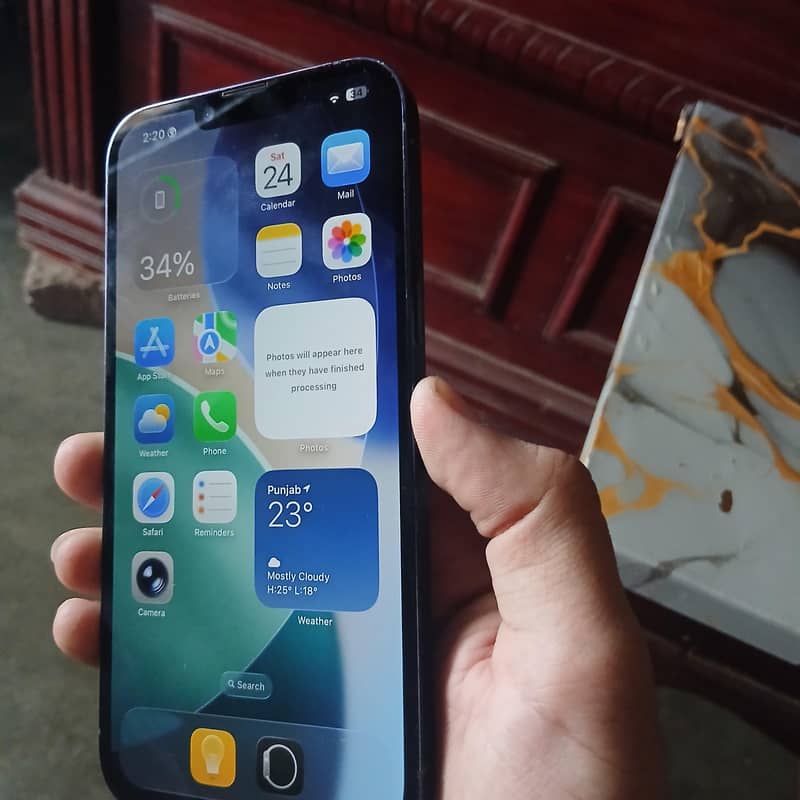 Apple iPhone 13 Pro Max 1