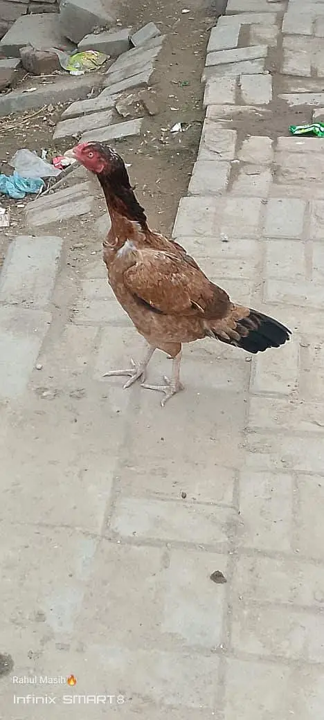 bohat achi Madi ha — photo 2