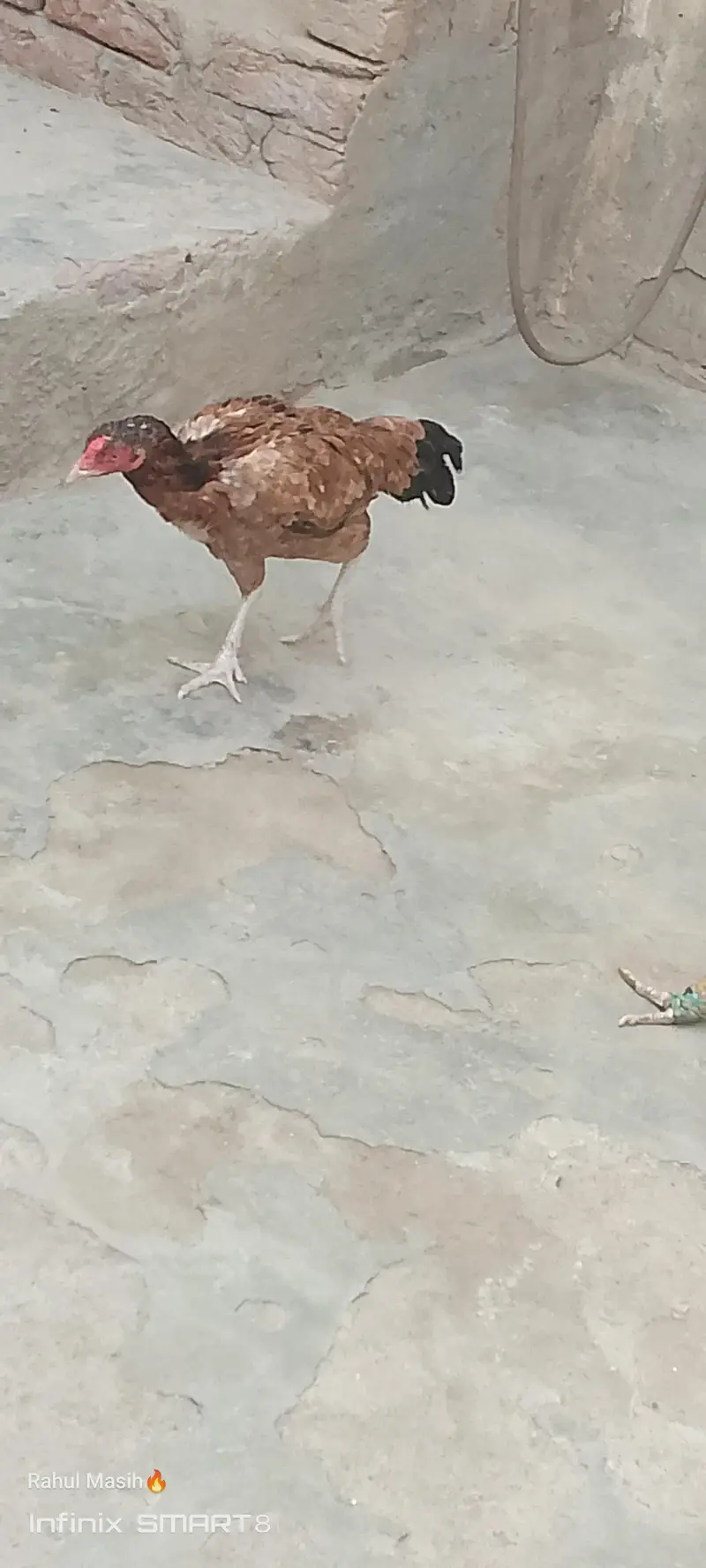 bohat achi Madi ha — photo 3