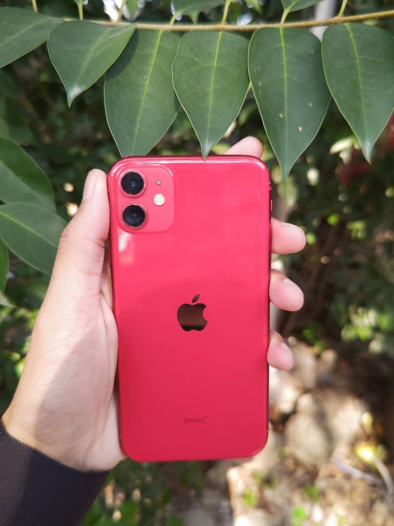 Apple iPhone 11 0