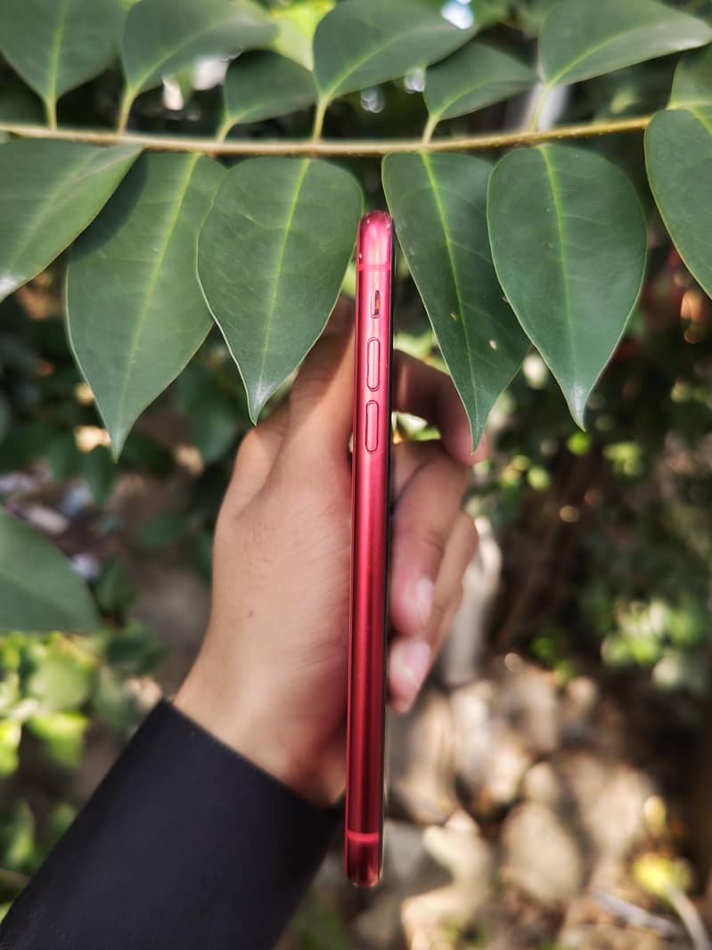 Apple iPhone 11 1