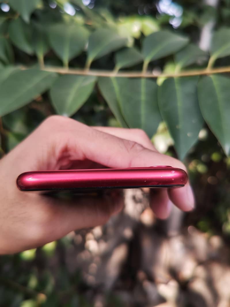 Apple iPhone 11 3