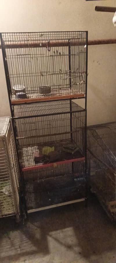double portion cage nd 1 singnal
