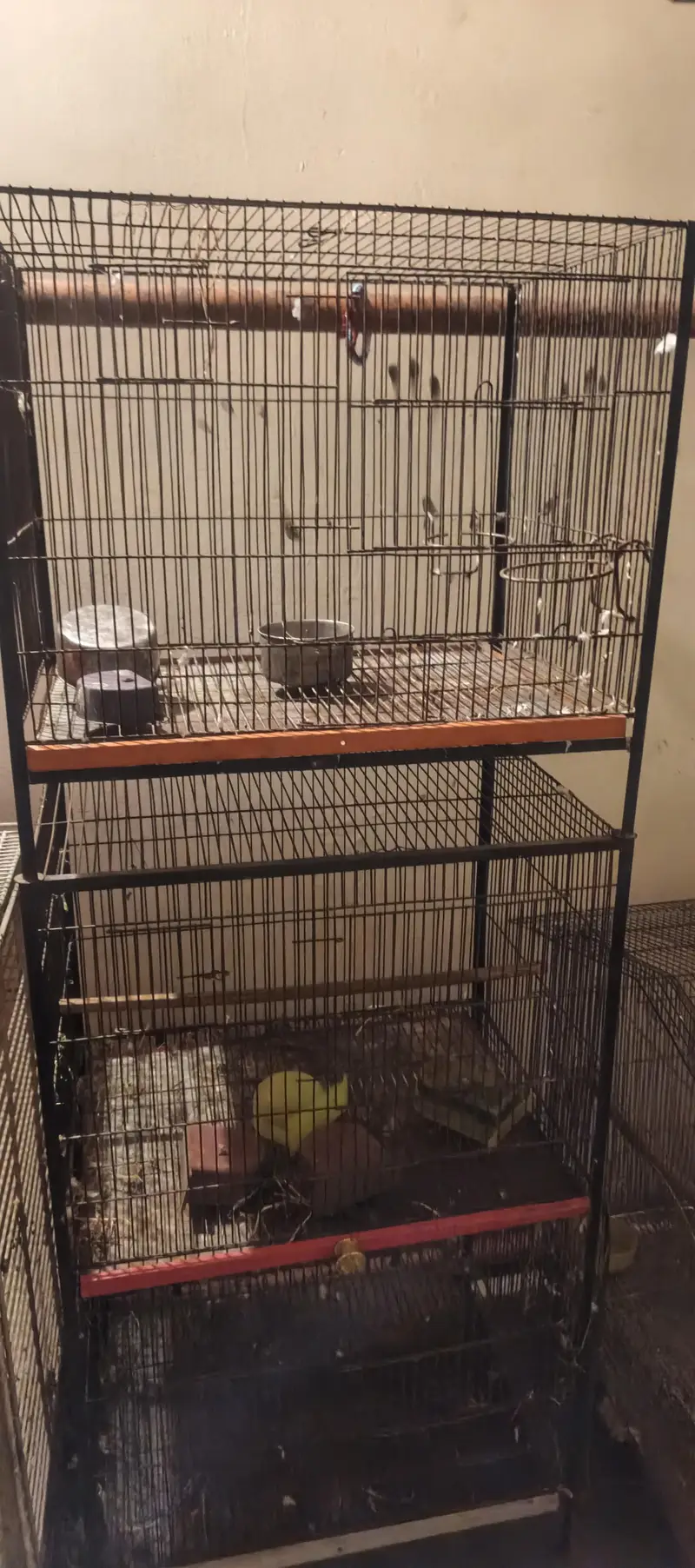 double portion cage nd 1 singnal — photo 2