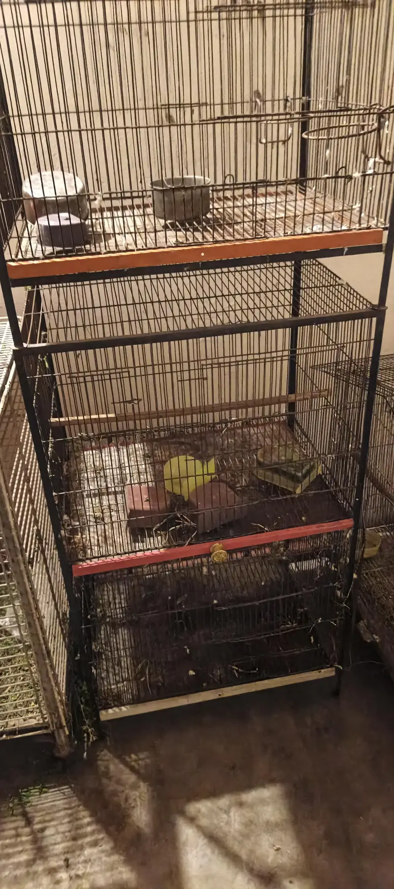 double portion cage nd 1 singnal — photo 3