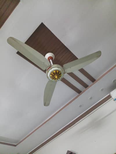 Fans sale