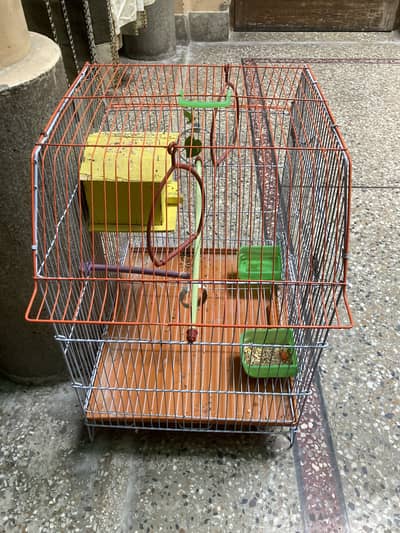 Bird Cage with Accessories and Single Love Bird