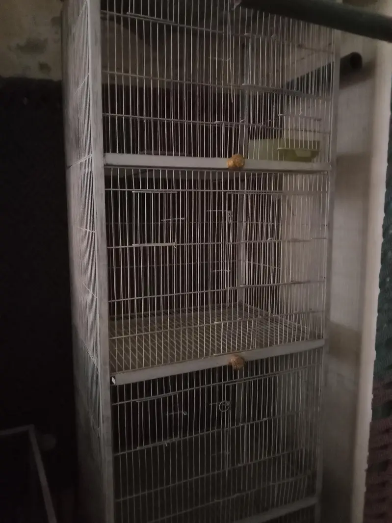 4 portion cage in New condition 0321-_474_075:3 — photo 2