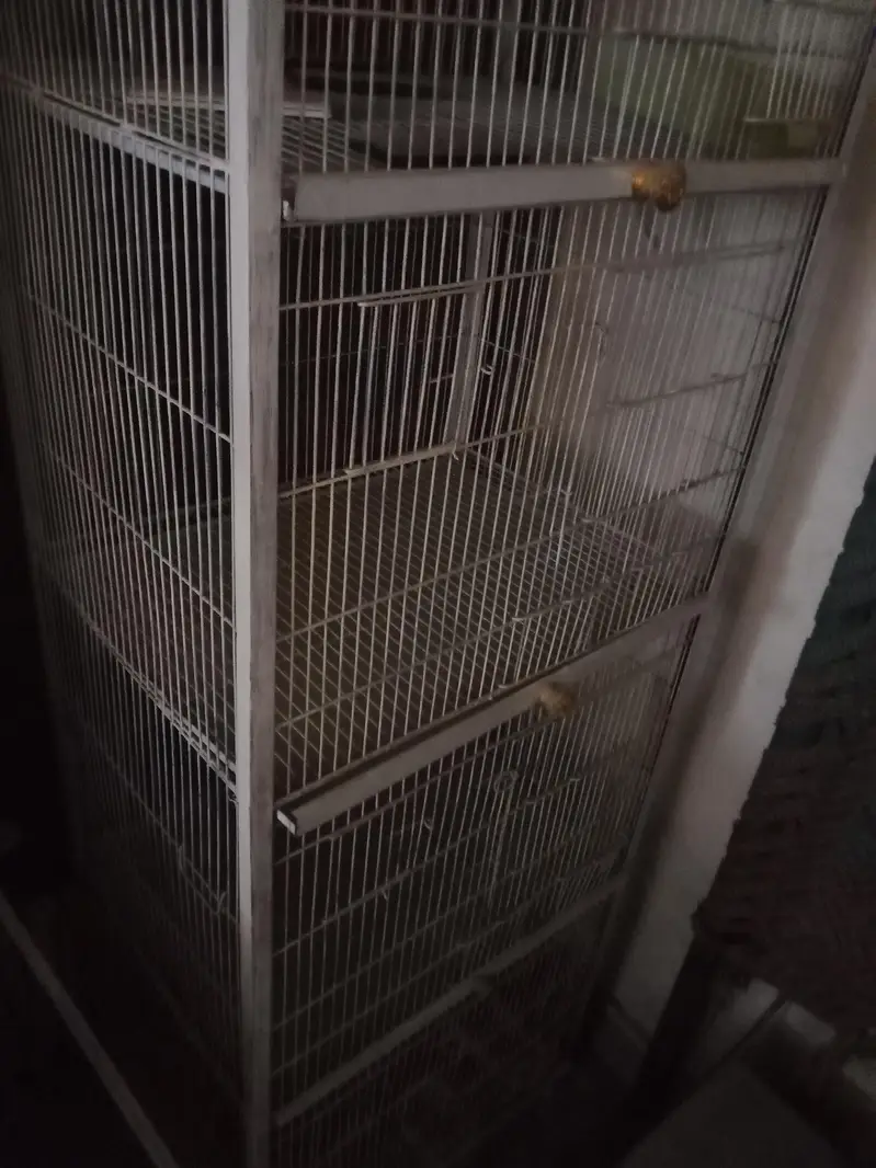 4 portion cage in New condition 0321-_474_075:3 — photo 4