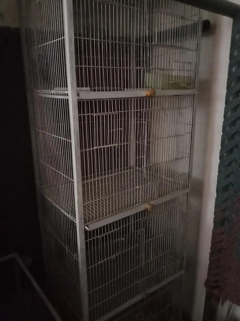 4 portion cage in New condition 0321-_474_075:3 — photo 5