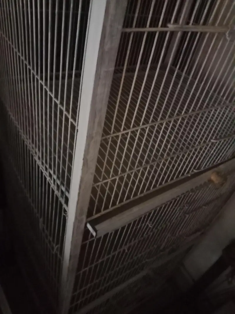 4 portion cage in New condition 0321-_474_075:3 — photo 6