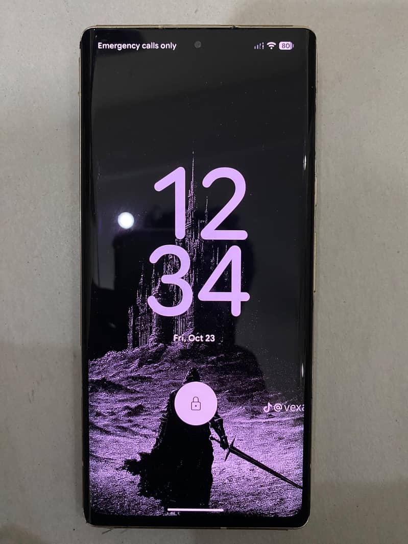 Google Pixel 6 Pro 1