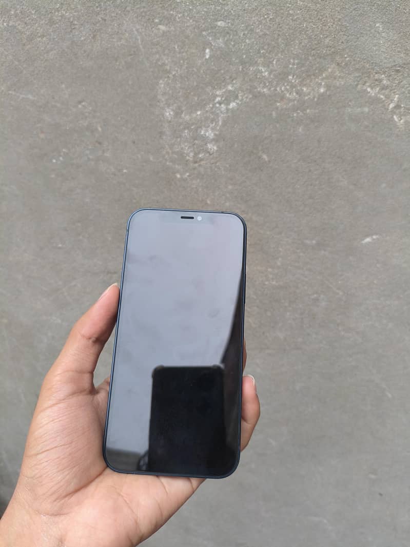Apple iPhone 12 1