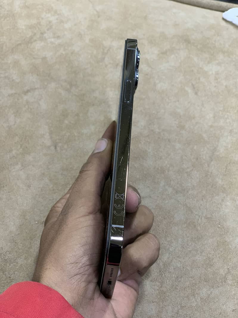 Apple iPhone 12 Pro Max/256 1