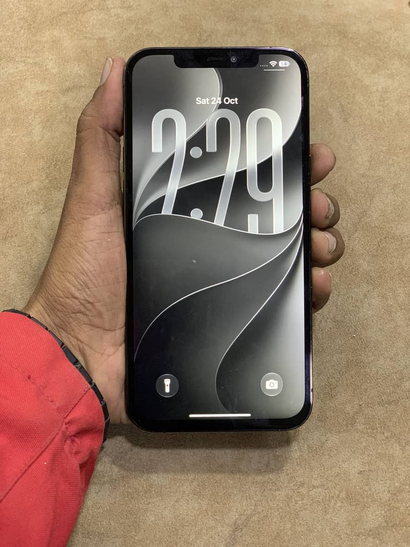 Apple iPhone 12 Pro Max/256 4