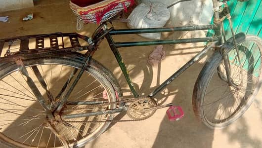 phoenix bicycle