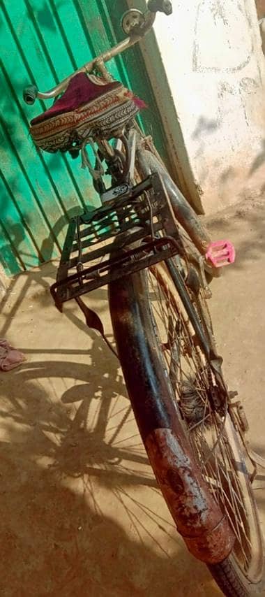 phoenix bicycle 1