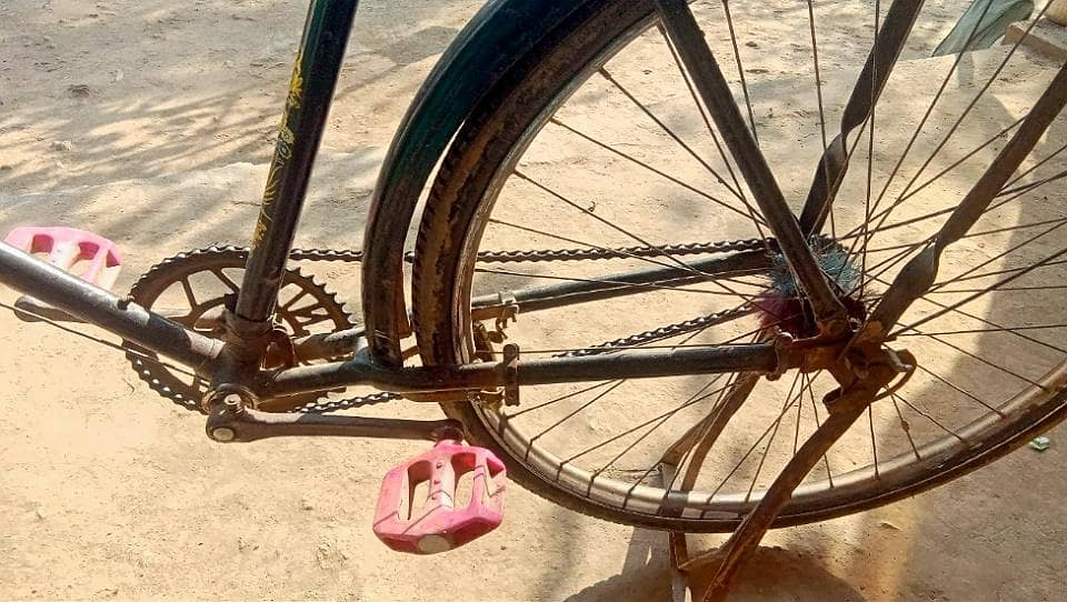 phoenix bicycle 2