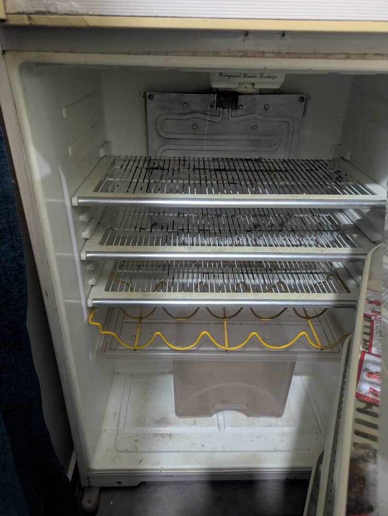 Fridge 3