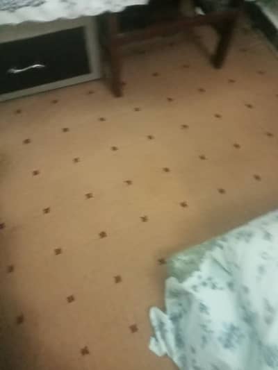 Carpet