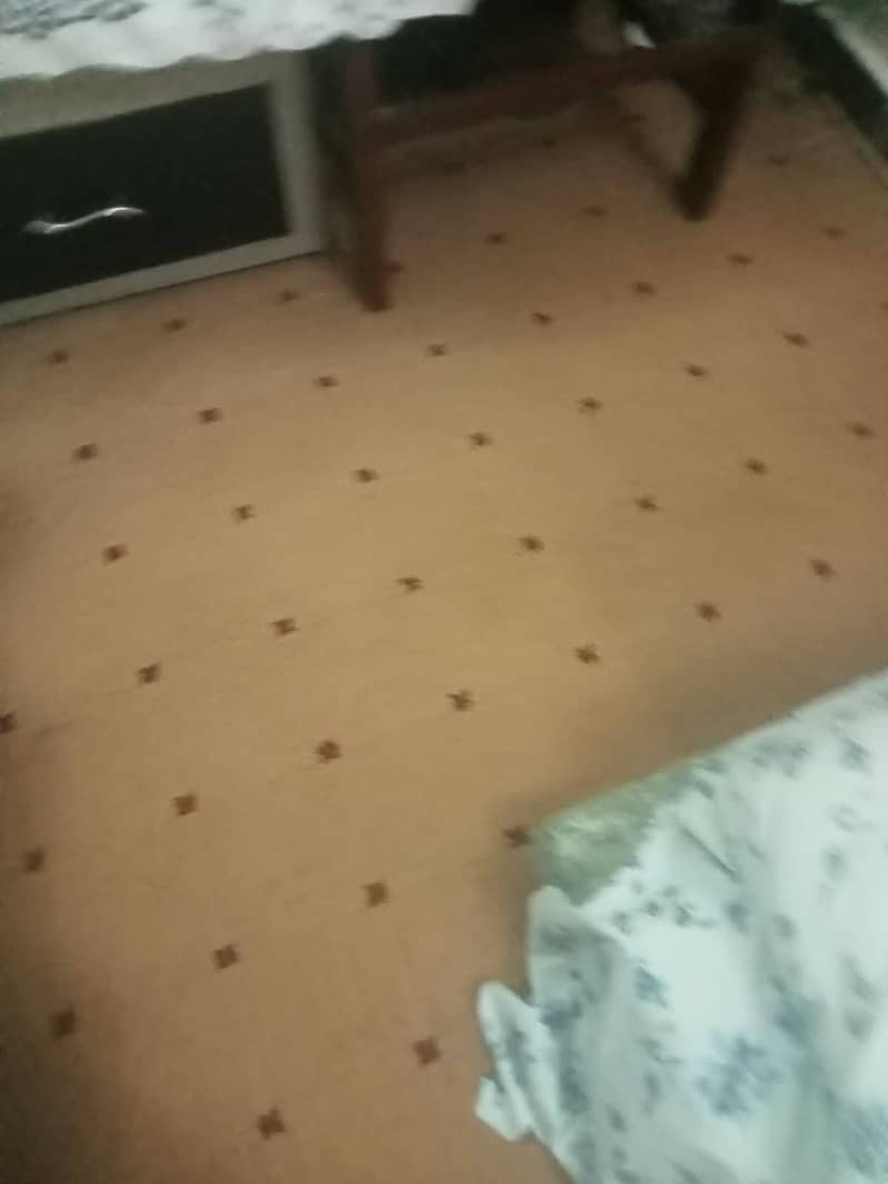 Carpet 0