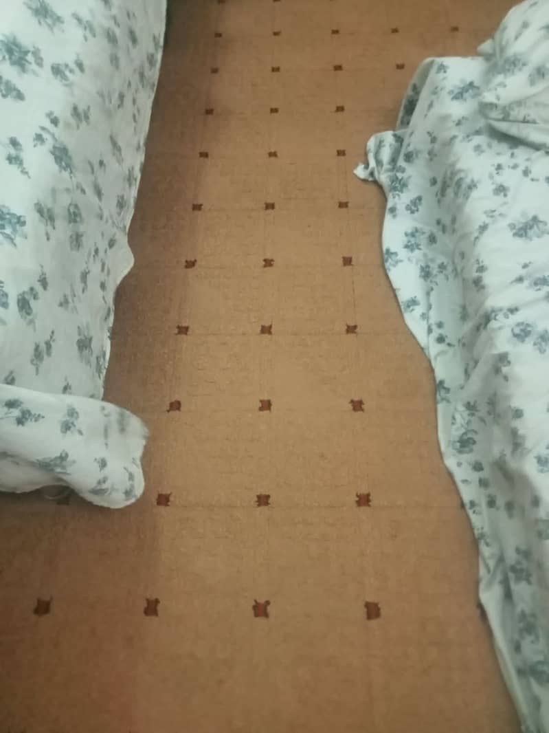 Carpet 1
