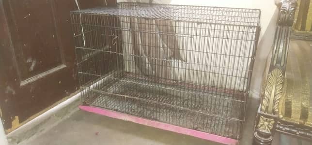 2.5 feet by 1.5 feet cage urgent sale