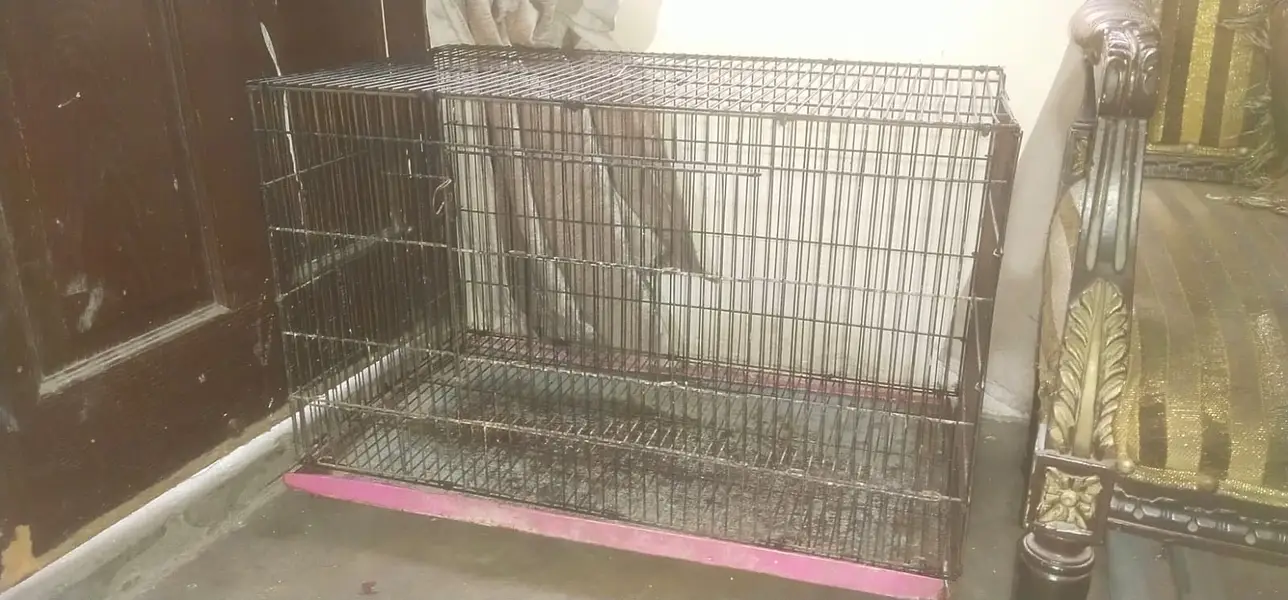 2.5 feet by 1.5 feet cage urgent sale — photo 2