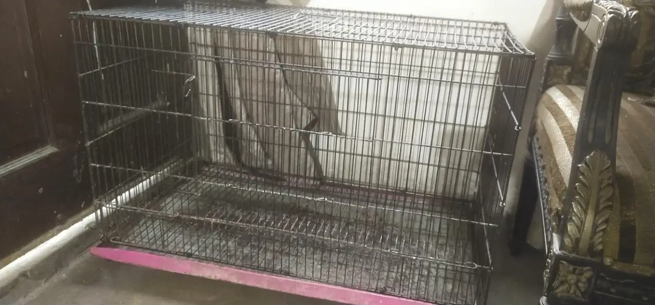 2.5 feet by 1.5 feet cage urgent sale — photo 3