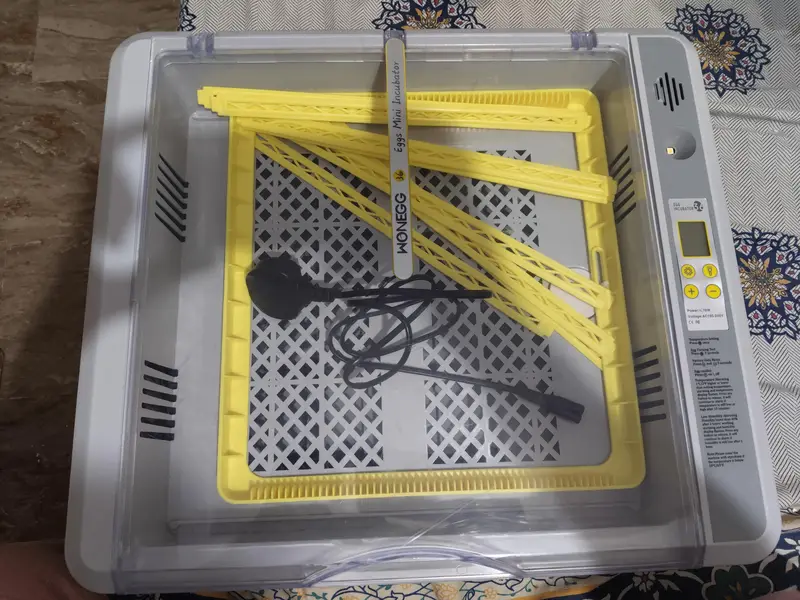 Wonegg 36 Eggs Incubator for Sale — photo 3