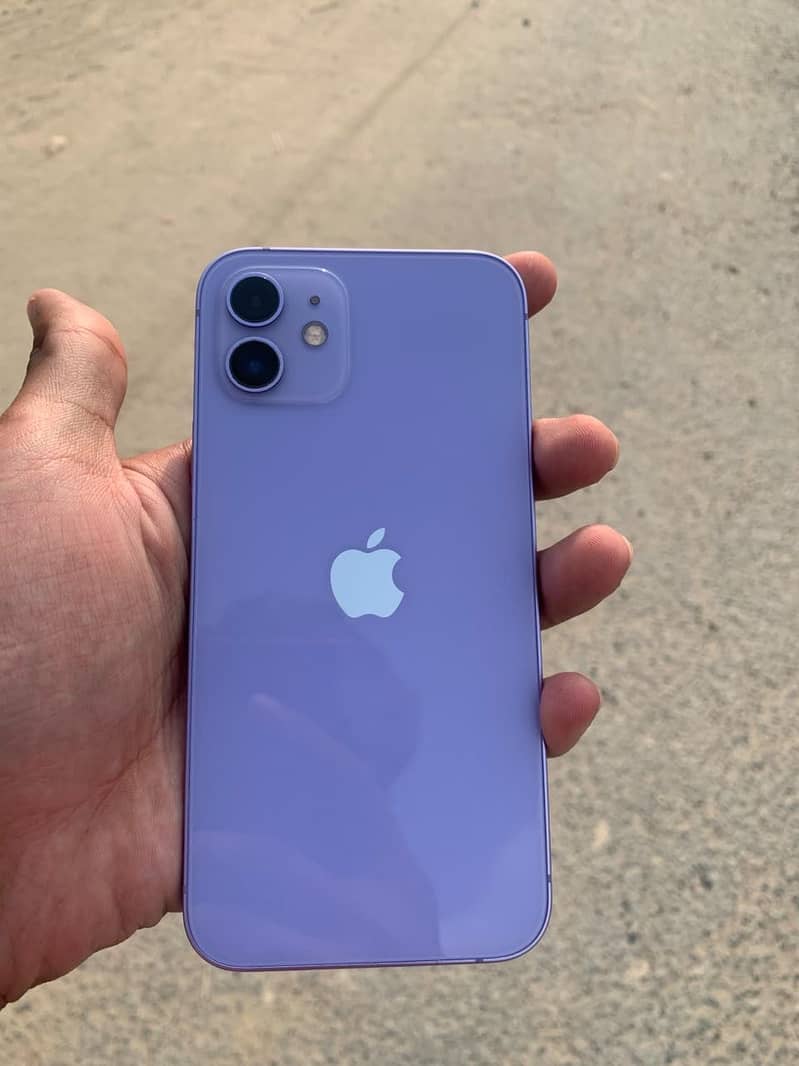 Apple iPhone 12 1