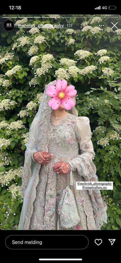 suffuse elmira brand