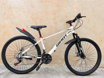 italian Imported mountain bicycle
