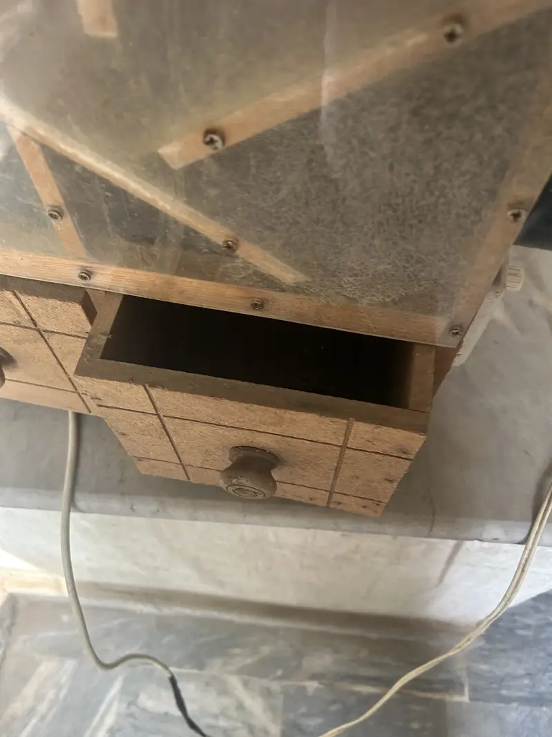 Feed cleaner parrots — photo 3