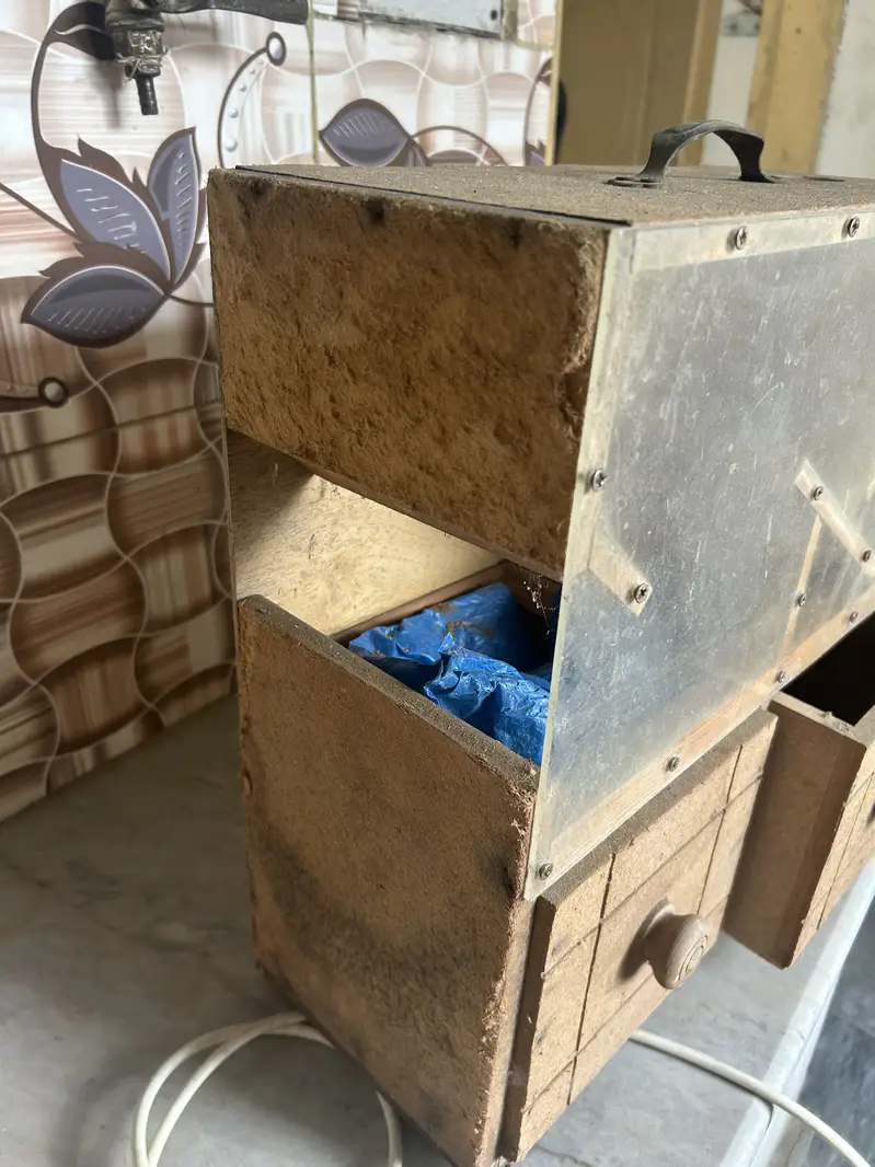Feed cleaner parrots — photo 4