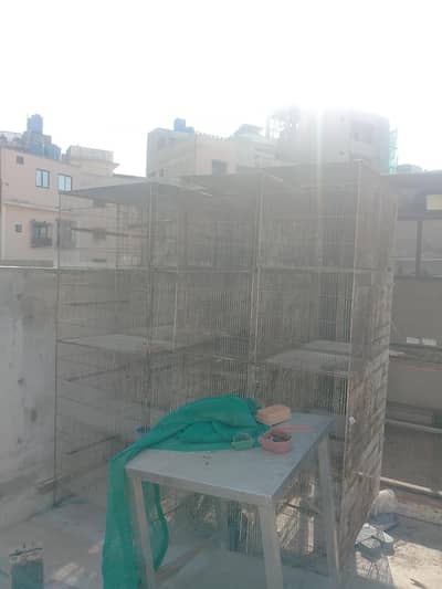 Bird Cages