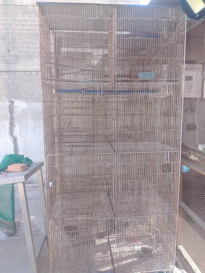 Bird Cages 1