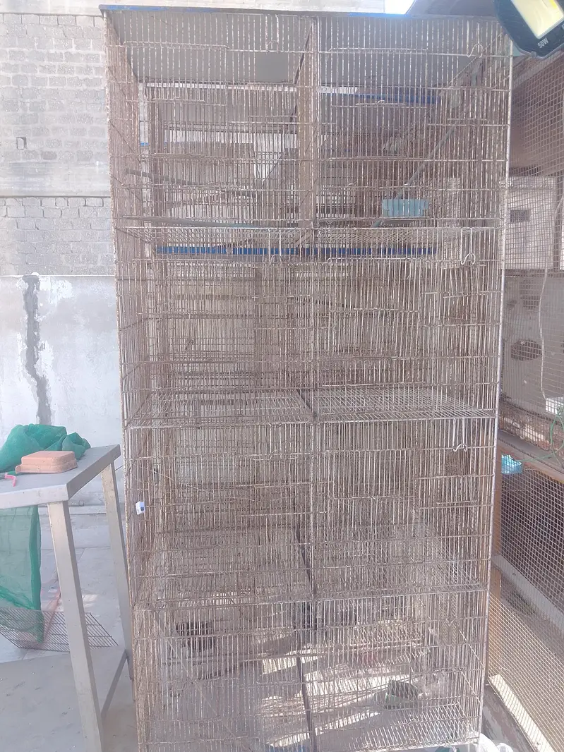 Bird Cages — photo 2
