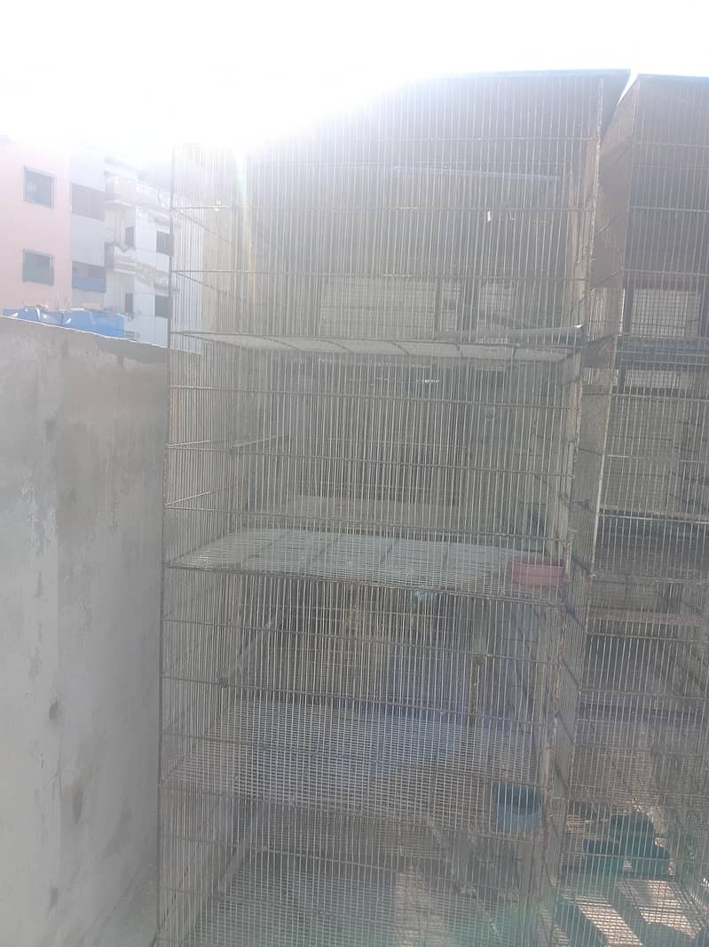 Bird Cages 2