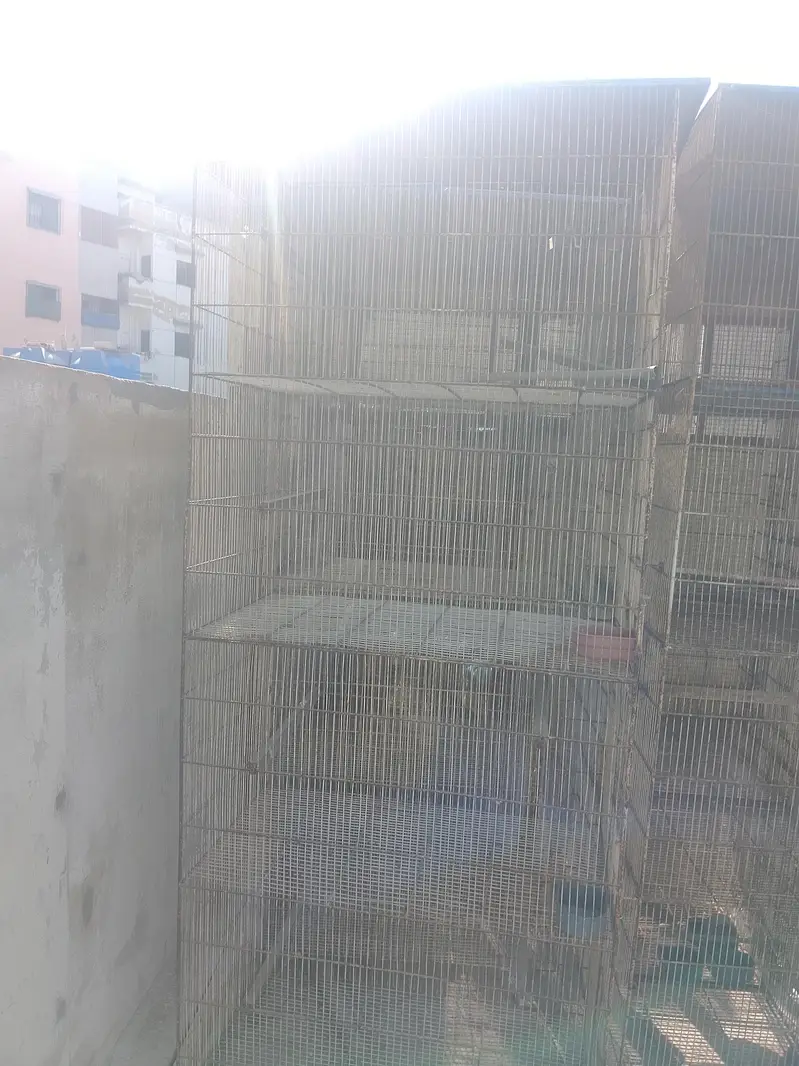 Bird Cages — photo 3