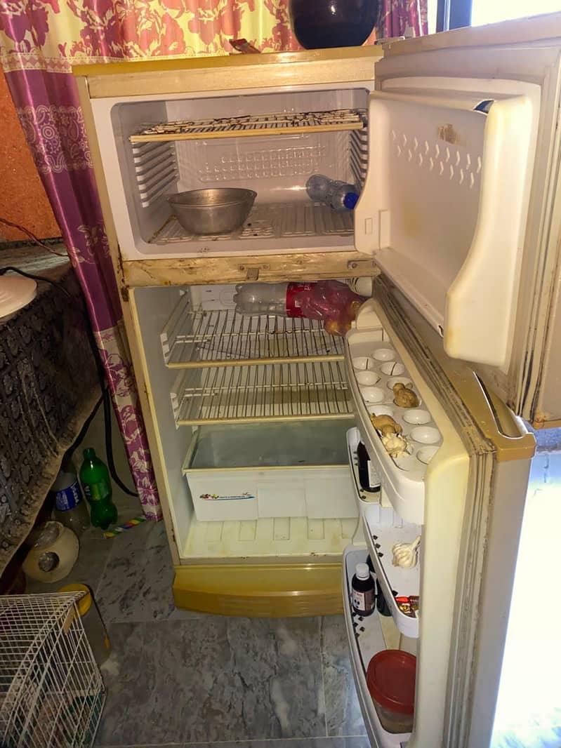 pell refrigerator 4