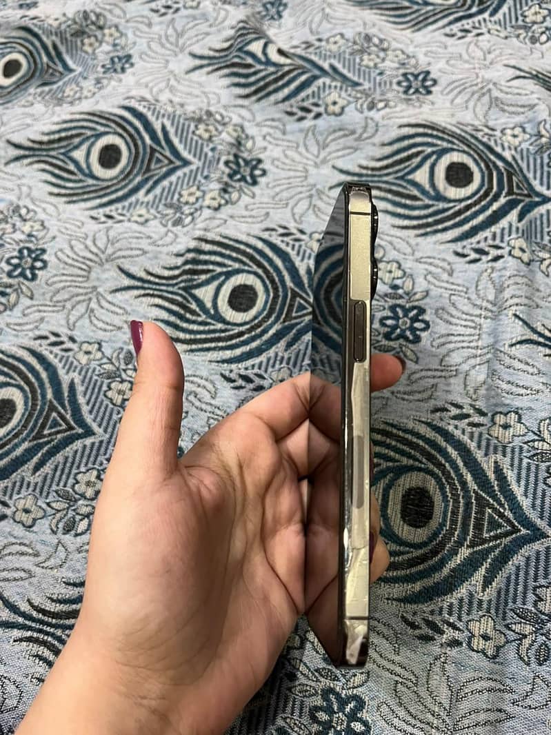 Apple iPhone 13 Pro 1