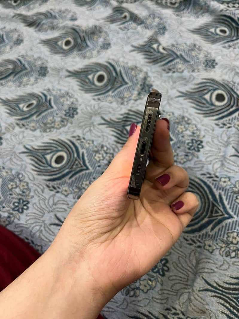 Apple iPhone 13 Pro 2